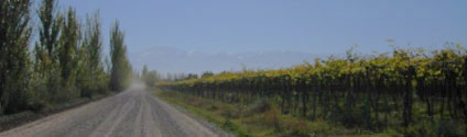 Ripio track among the vines at Tupungato, with Andes backdrop